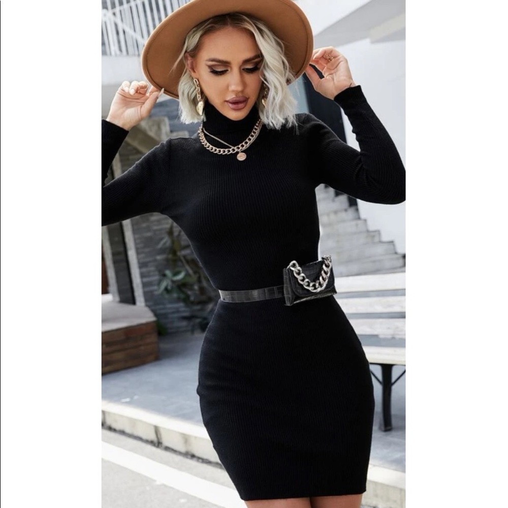 Long sleeve turtle neck fall sweater dress - Picture 2 of 7